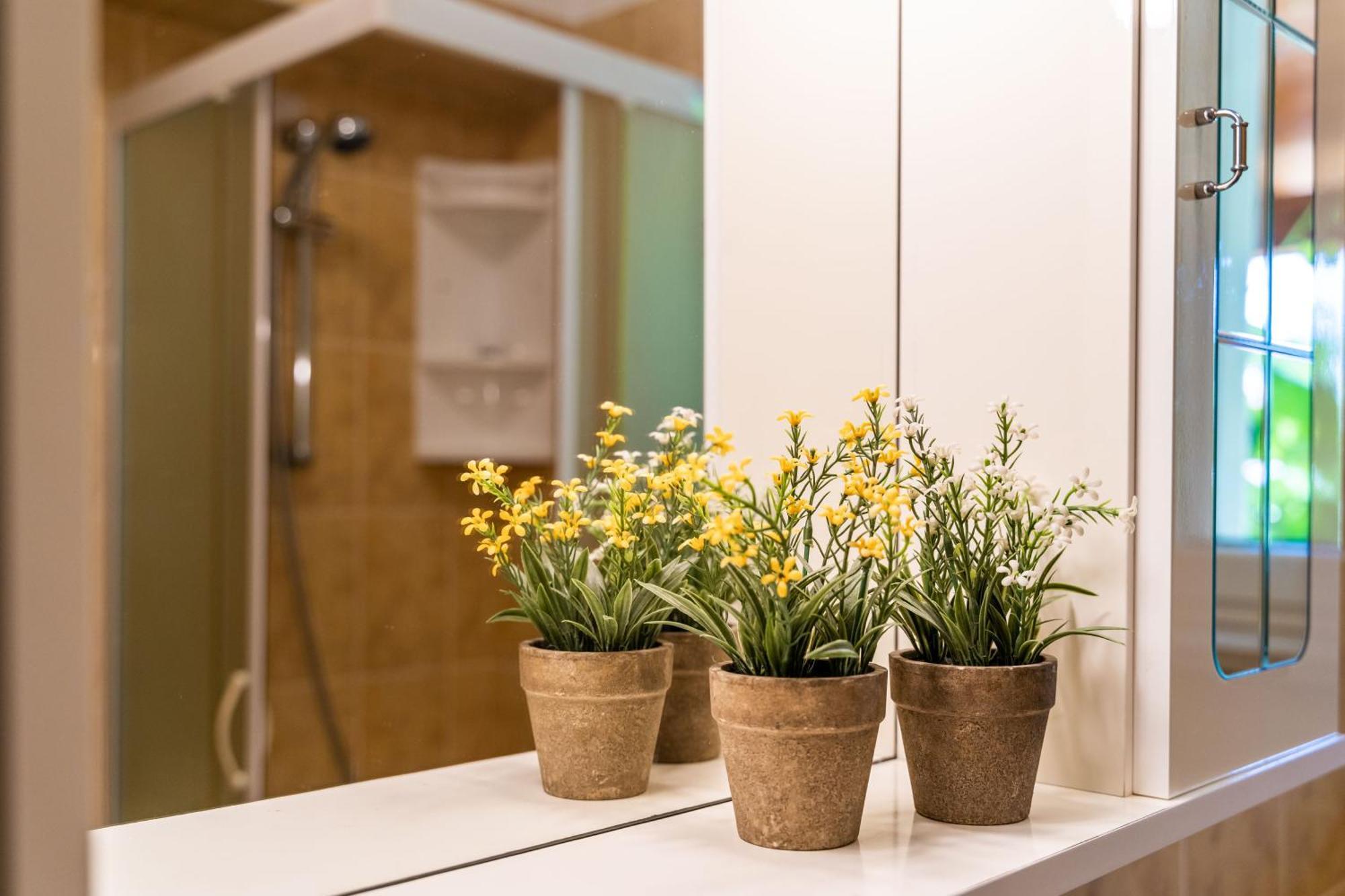Guest house & Frane Dubrovnik